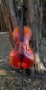 Model ATX 350 4/4 Cello outfit